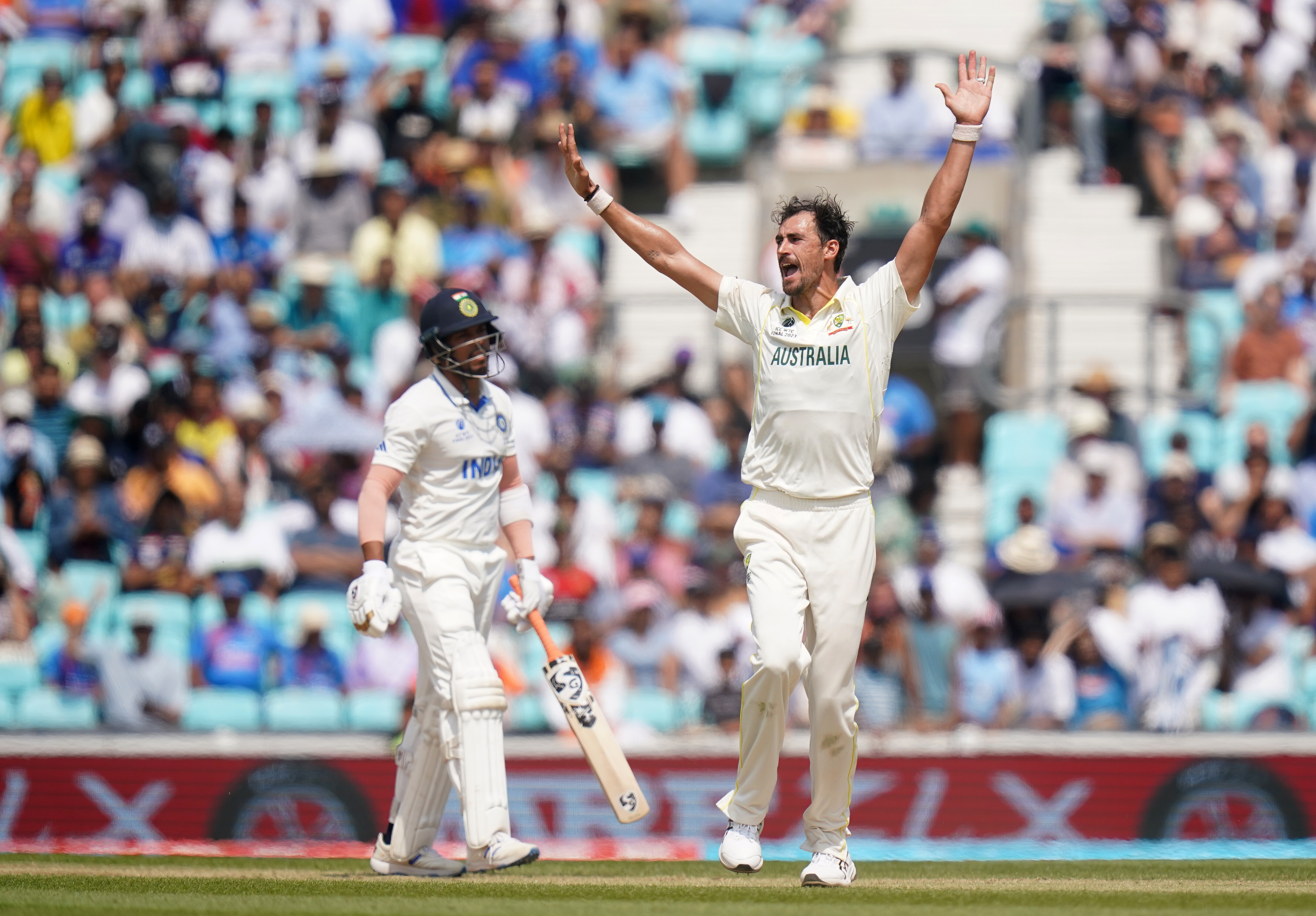 Mitchell Starc wickets in international cricket
