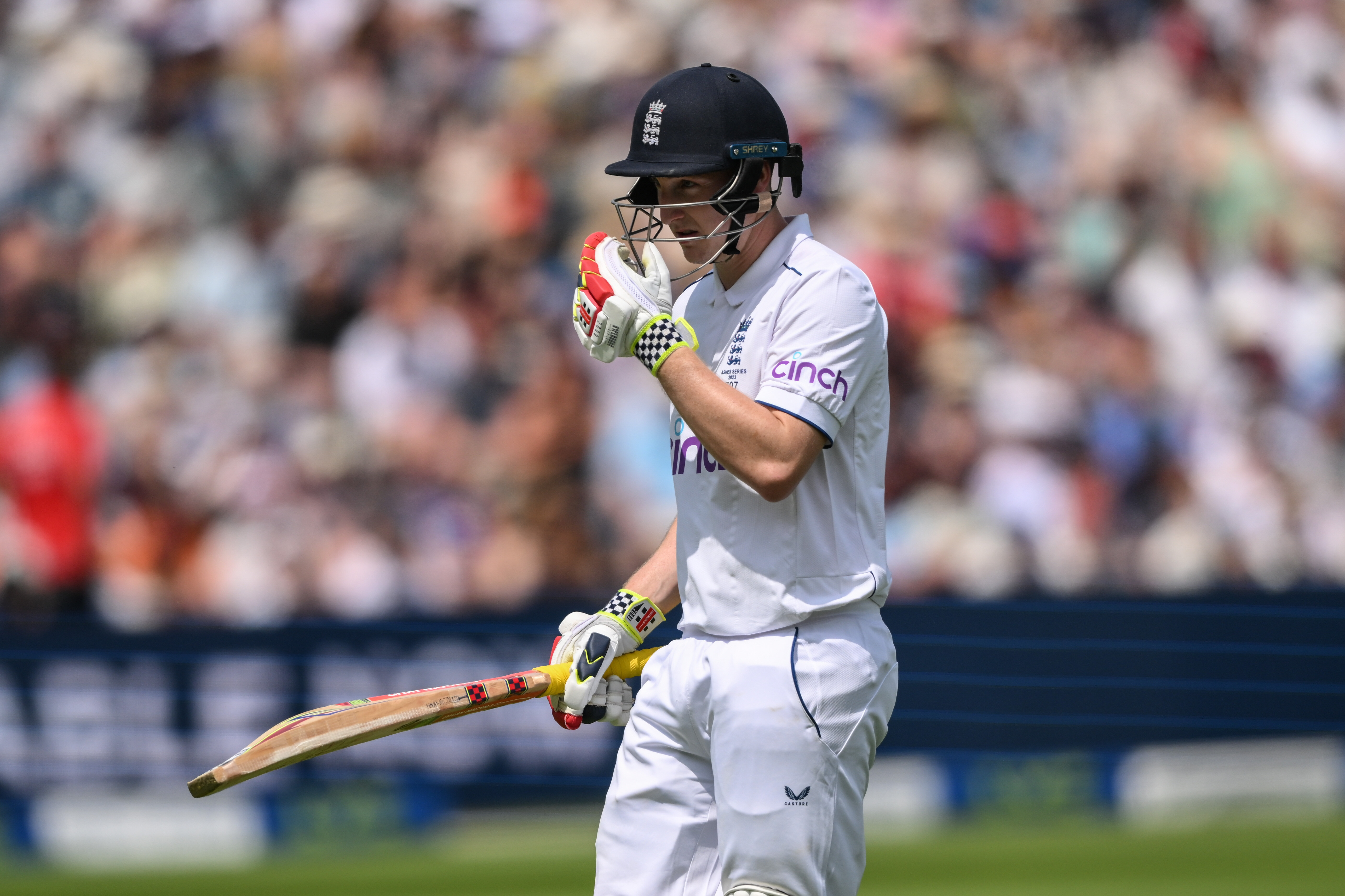 Harry Brook centuries in international cricket