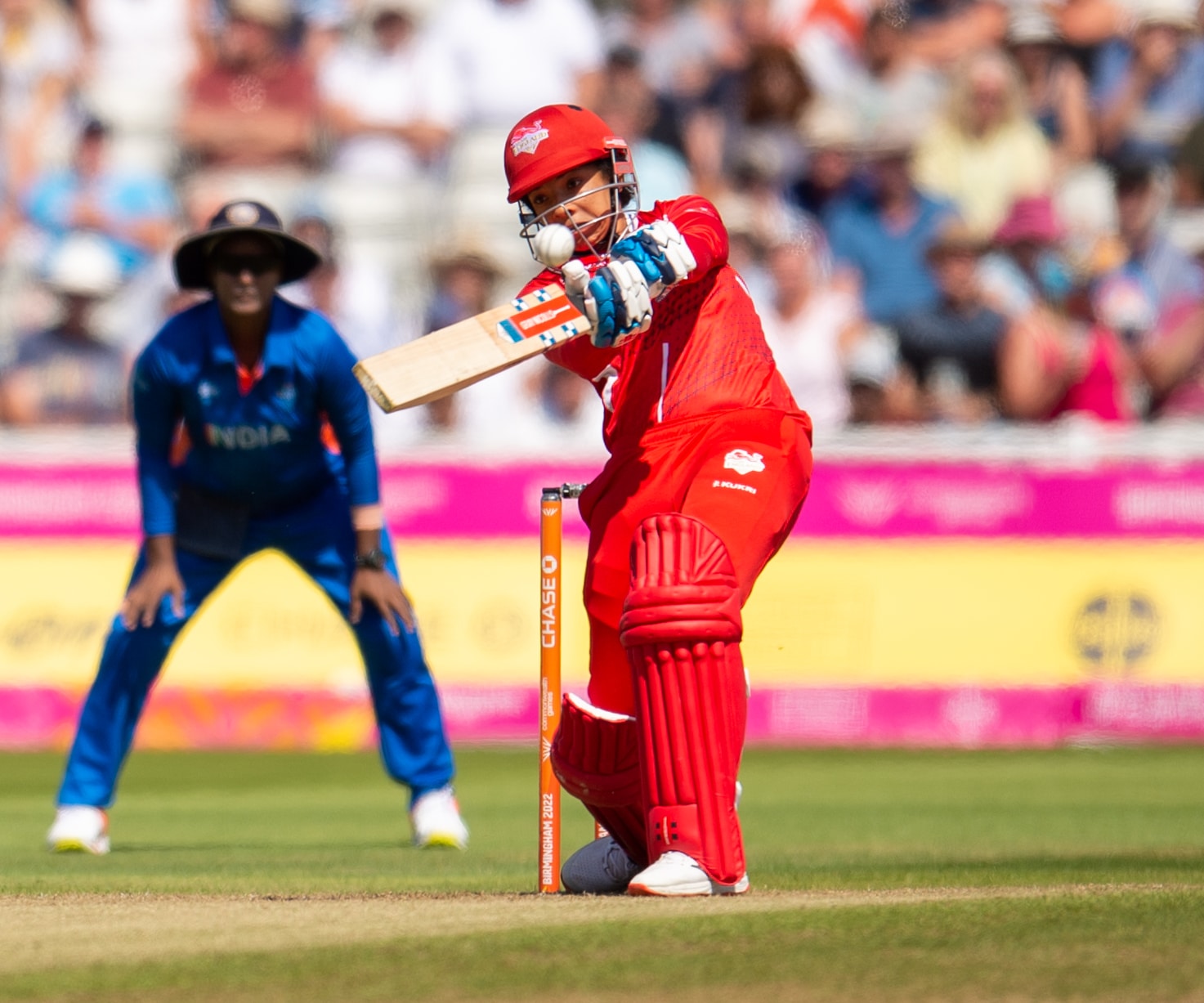 What is free hit in cricket? Cricket rules explained