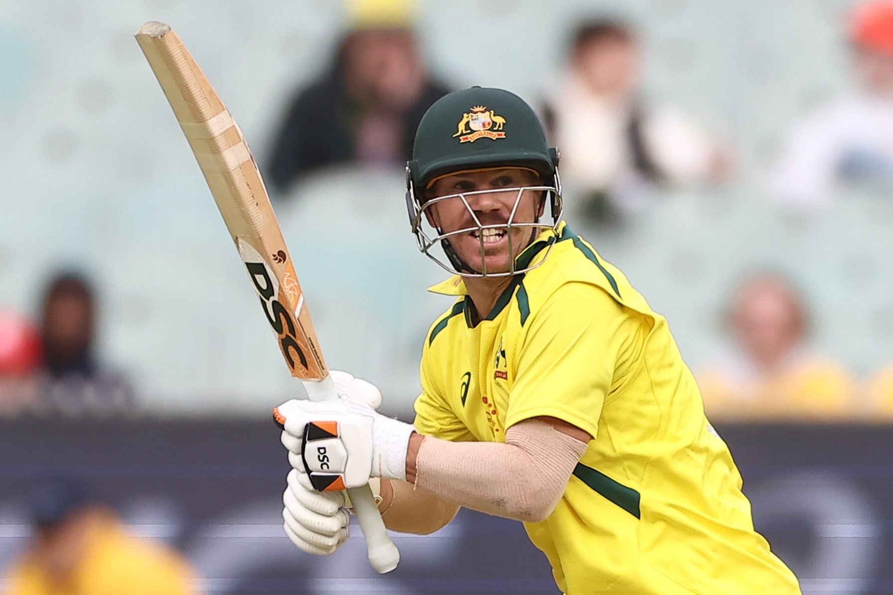 David Warner centuries in international cricket