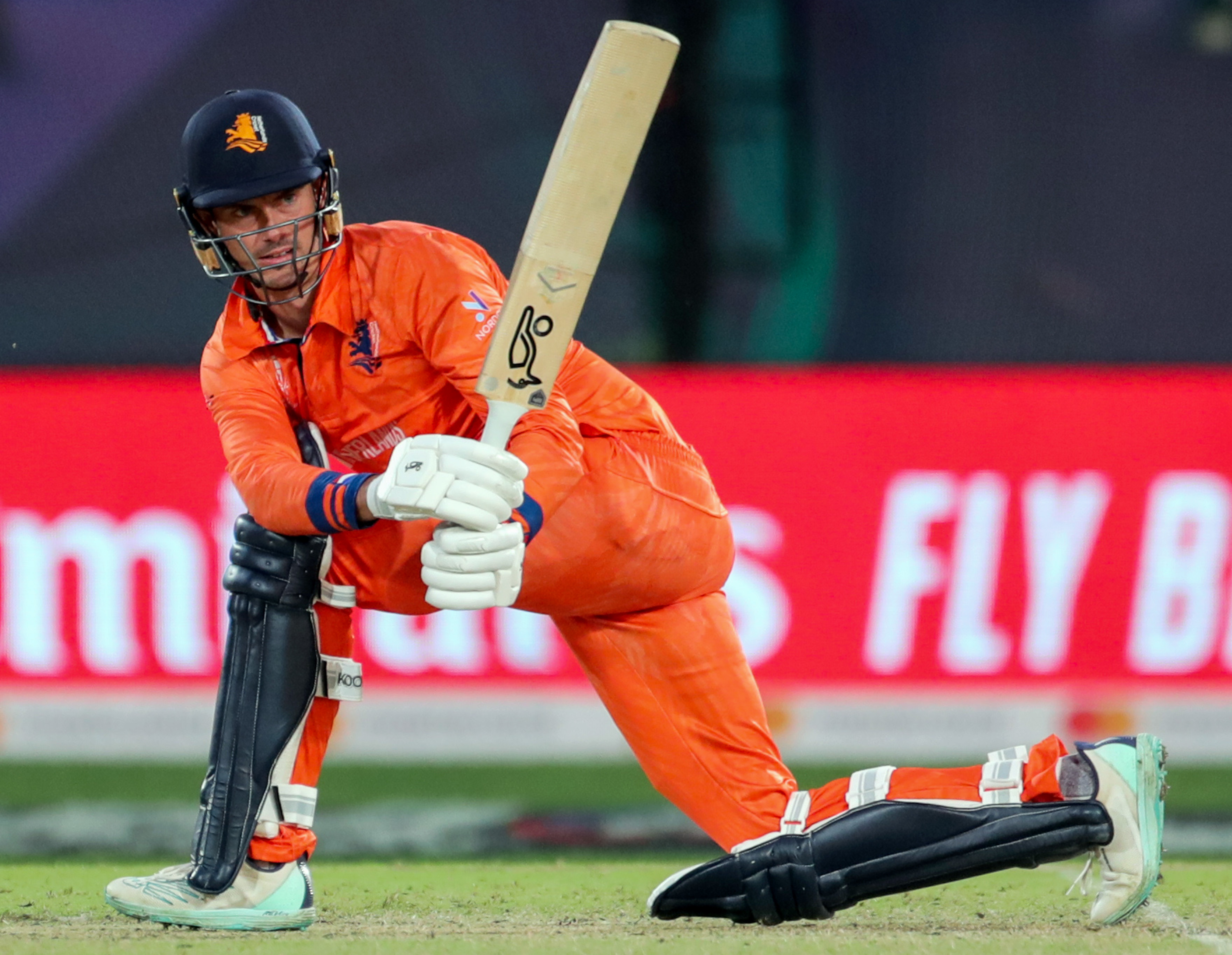South Africa vs Netherlands result: Highlights, scorecard, and Man of the Match