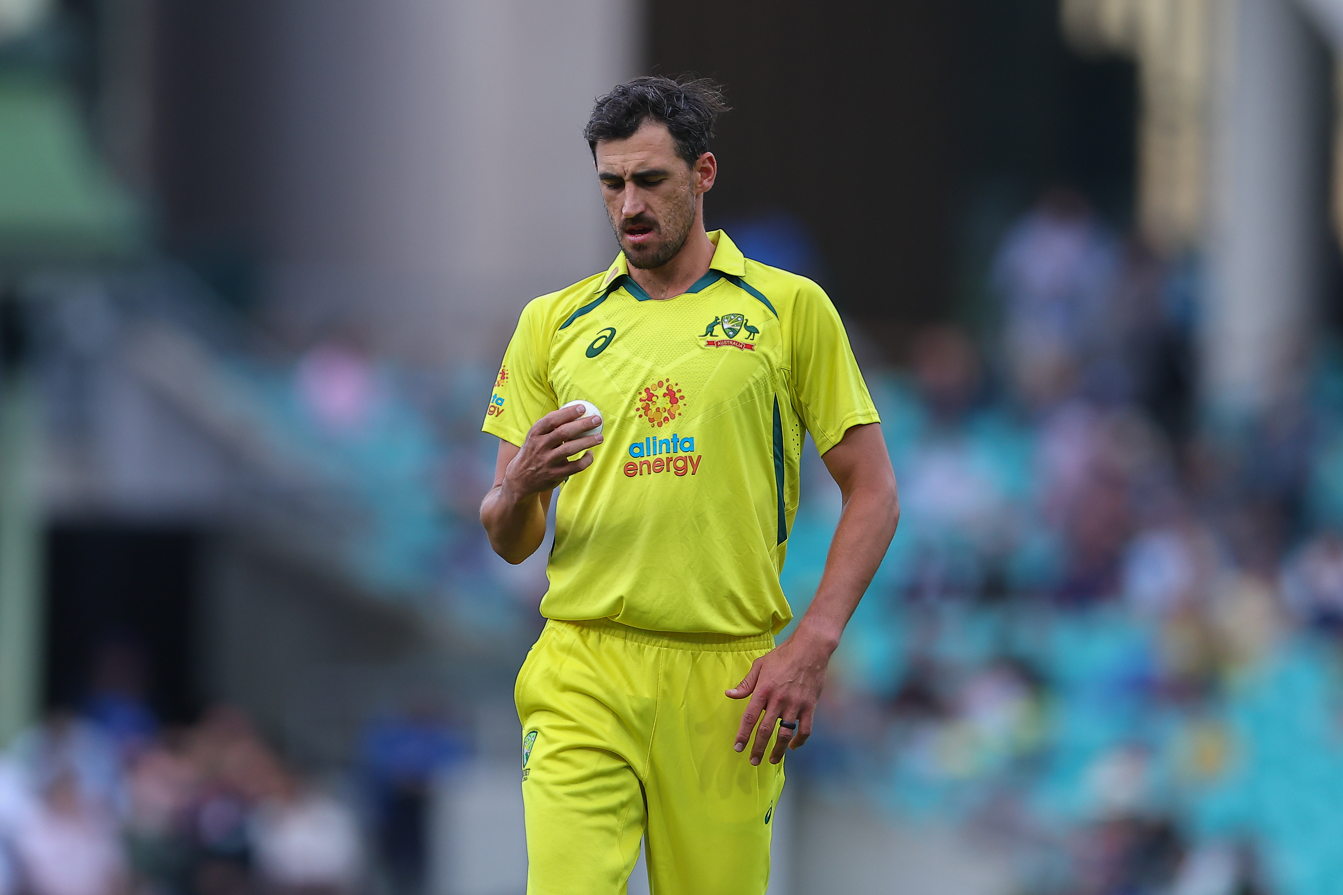 Mitchell Starc and Pat Cummins react to record bids in IPL 2024 auction